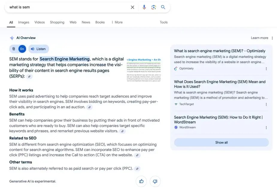 SEMs Google AI Overviews